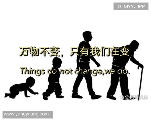 总决赛背后的故事:从少年到巨星之路 总决赛背后的故事:从少年到巨星之路