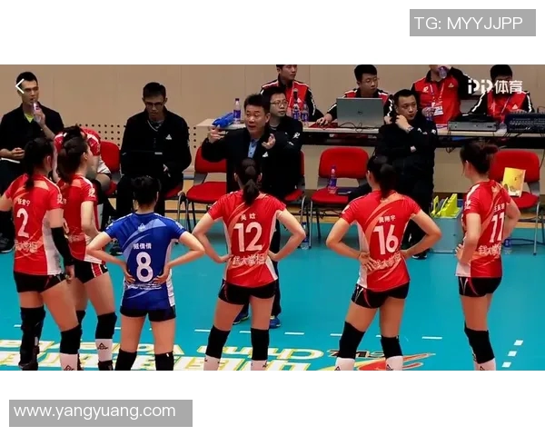 职业排球比赛中快速反击战术与传球精准度的关系